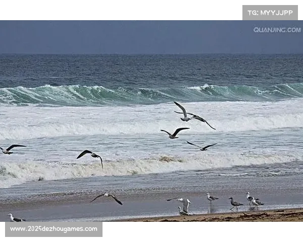 墨西哥蒙特雷暴雨导致泛美青年锦标赛比赛延误五小时